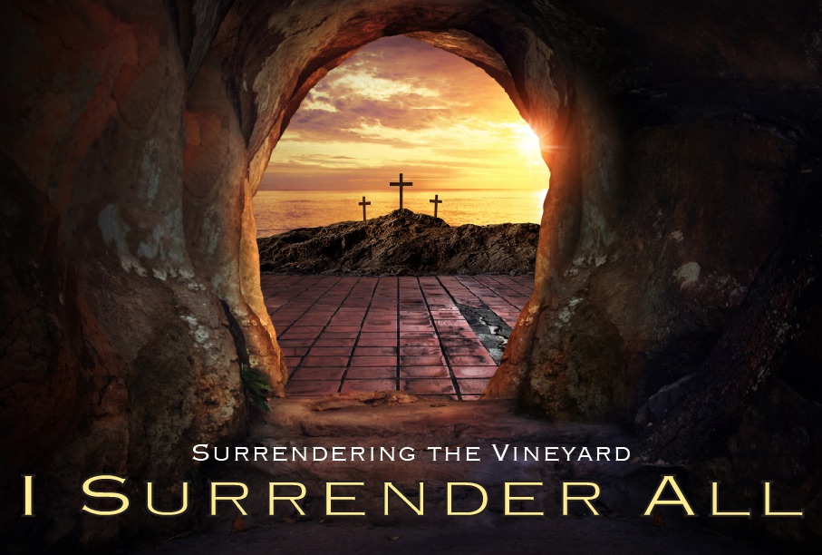 Surrendering The Vineyard